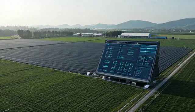 应用开发选型关注点:性能差异与实际环节分析